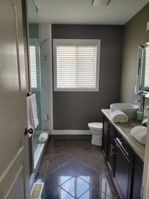 Hair dryer, towels, soap, shampoo