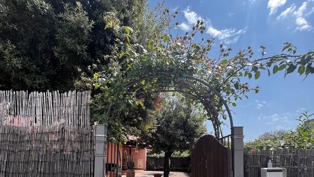 Una entrada porticada con un sendero de piedra que conduce a un portón de madera.
