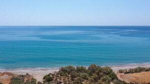 Eine Küstenlandschaft mit Strand, Bäumen und blauem Himmel.