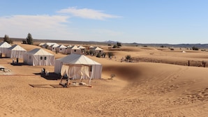 A desert landscape with multiple white tents and a few trees. - Luxury nomadic tented camp  (Merzouga)