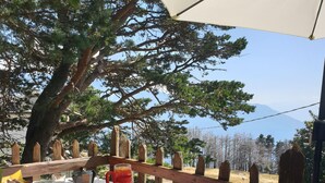 Un área de comedor al aire libre con una mesa dispuesta para una comida, rodeada de árboles y vistas del paisaje.