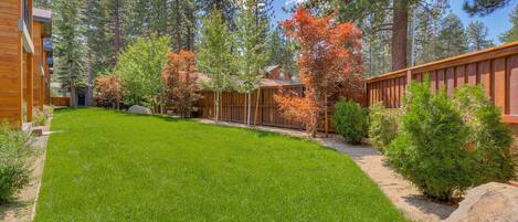 A well-maintained grassy yard with a wooden fence, surrounded by tall trees and a clear sky.