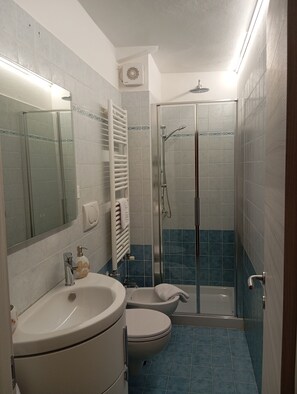 Dusche, Haartrockner, Bidet, Handtücher