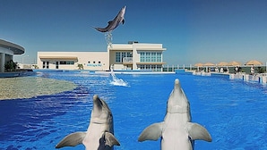 Een dolfinarium met een gebouw op de achtergrond.