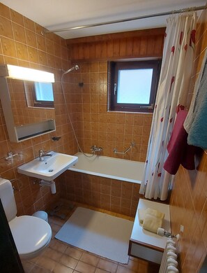 Hair dryer, towels, soap, toilet paper - Floralp #5 - Gemütlich mit Aussicht (Leukerbad)