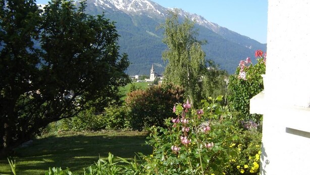 A garden with various plants and flowers, a church, and a mountain in the background.