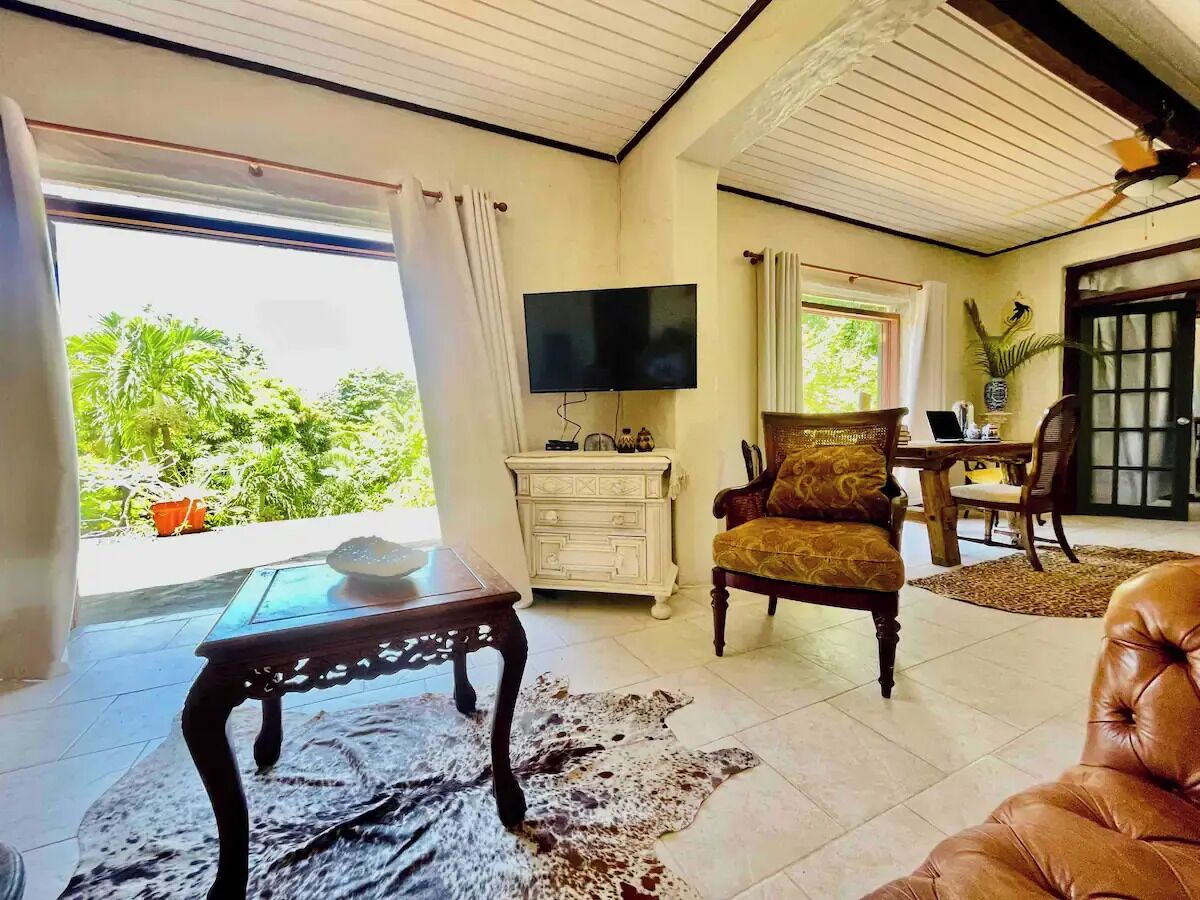 تلفزيون ذكي