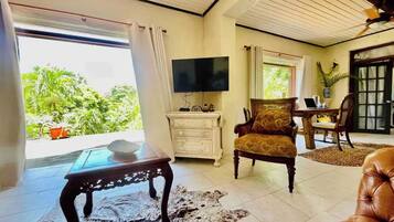 تلفزيون ذكي