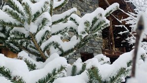 Exterior detail - DU PRAZ - LA GRANDE OURSE (SAINTE FOY TARENTAISE)