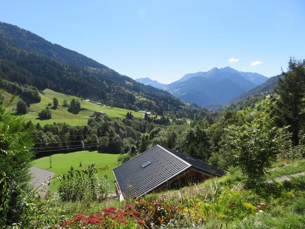 A rural landscape with a house on a hillside, surrounded by green fields and mountains.