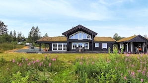 A large black building with a prominent central section and two smaller sections on either side, surrounded by a grassy field with purple flowers.