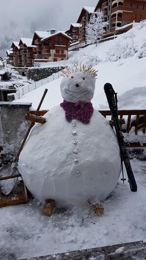 Sneeuw- en skisporten