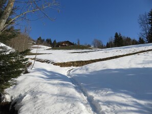 Property grounds - CHEZ MARTIN - HAUTELUCE LES SAISIES (HAUTELUCE LES SAISIES)
