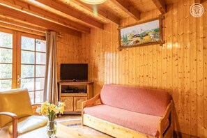 Televisión y chimenea