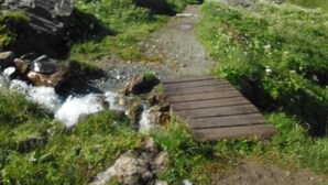 Un puente de madera sobre un arroyo en una zona montañosa con hierba verde y terreno rocoso.