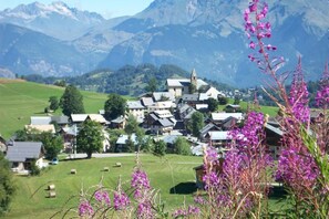 Aerial view - LE TALAPET - CONFETTI (ALBIEZ MONTROND)