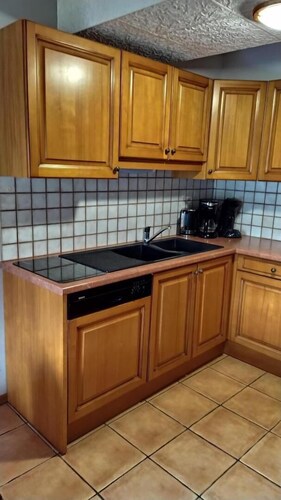 LE RHODODENDRON - AUSSOIS