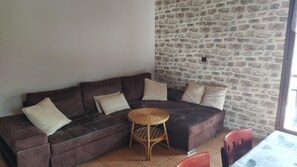 تلفزيون، مشغل دي في دي