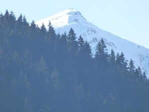 A snow-covered mountain with a peak and a forested area at the base. - LA PACHONNEE - BEAUFORT ARECHES (BEAUFORT ARECHES)