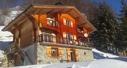 LE FLOCON DES ARAVIS 1