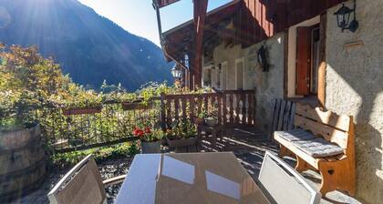 LES MYOSOTIS - CHAMPAGNY EN VANOISE