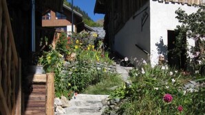 A stone pathway leading to a wooden door, surrounded by lush greenery and flowers.