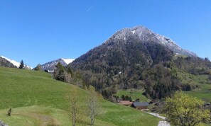 2 bedrooms, iron/ironing board, travel crib, free WiFi