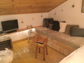 TV, fireplace, DVD player, stereo