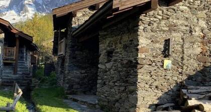 LE LAISONNAY - CHAMPAGNY EN VANOISE