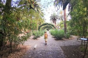 Overnattingsstedets uteområder