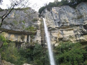 Ein Wasserfall stürzt über eine felsige Klippe, umgeben von dichtem Grün.