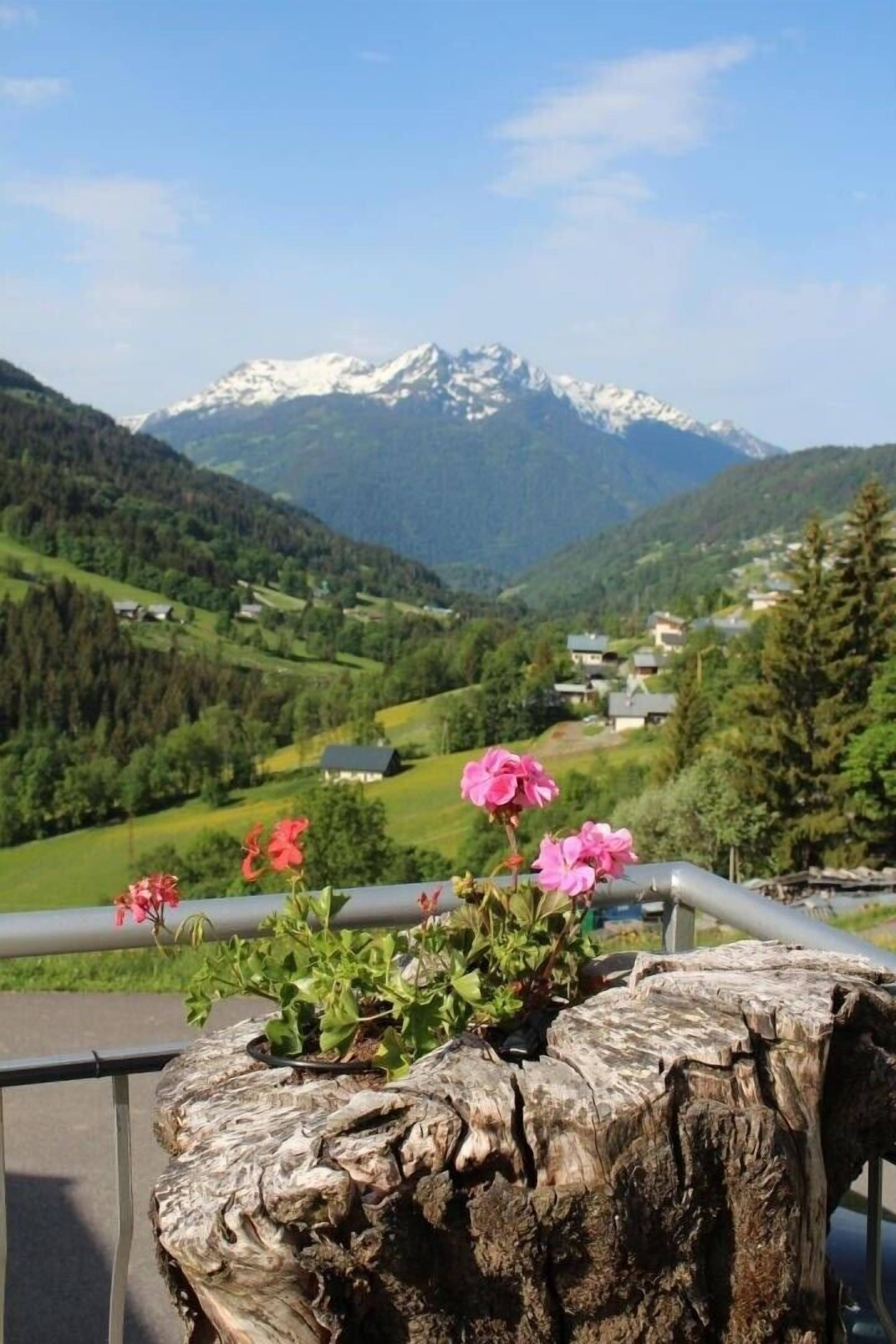 A balcony with a rustic wooden planter holding pink flowers, overlooking a mountainous landscape with snow-capped peaks and a green valley below.