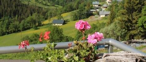 A balcony with a rustic wooden planter holding pink flowers, overlooking a mountainous landscape with snow-capped peaks and a green valley below.