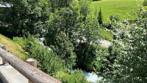 A river flowing through a forested valley with a mountain in the background. - LA COMBE DE MOULIN - PEISEY NANCROIX (PEISEY NANCROIX)