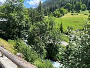 A river flowing through a forested valley with a mountain in the background. - LA COMBE DE MOULIN - PEISEY NANCROIX (PEISEY NANCROIX)