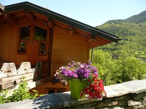 Property grounds - LA TORSA - VILLAROGER (VILLAROGER)