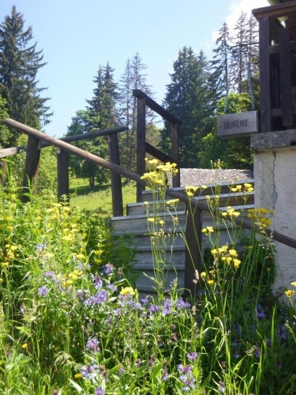 Parco della struttura