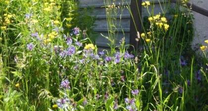 L'ARCANIERE - NOTRE DAME DE BELLECOMBE