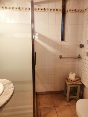 Shower, hair dryer