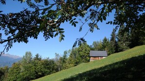 A rustic cabin on a grassy hillside with a clear view of the surrounding forest and distant mountains. - PIERRE BLANCHE - VALMOREL LES AVANCHERS (VALMOREL LES AVANCHERS)
