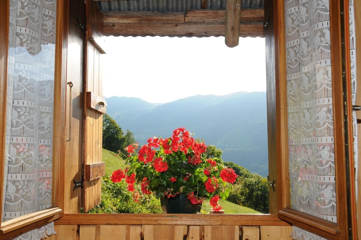 A wooden window with a view of a mountainous landscape and a potted red flower arrangement.
