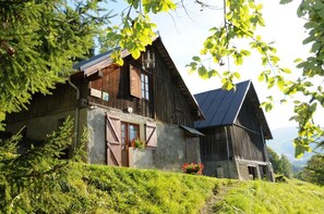 Esterni