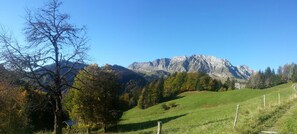 Property grounds - LE FARDELET - LA GIETTAZ (LA GIETTAZ)