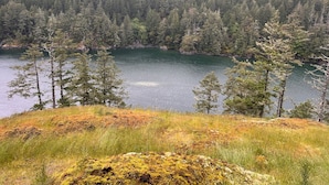 Un lac entouré d’une forêt dense et d’une colline herbeuse.