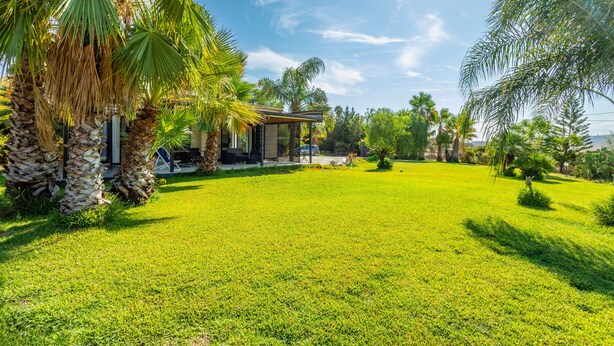 A modern house with a well-maintained lawn, palm trees, and a clear sky. - Villa 'Green Garden' with Private Terrace, Wi-Fi and Air Conditioning (Carlentini)