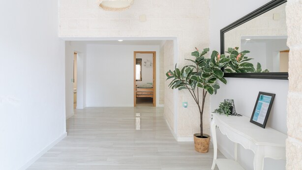Ein Flur mit weißer Wand, Holzboden, einer hängenden Leuchte, einem Blumentopf und einem Spiegel.