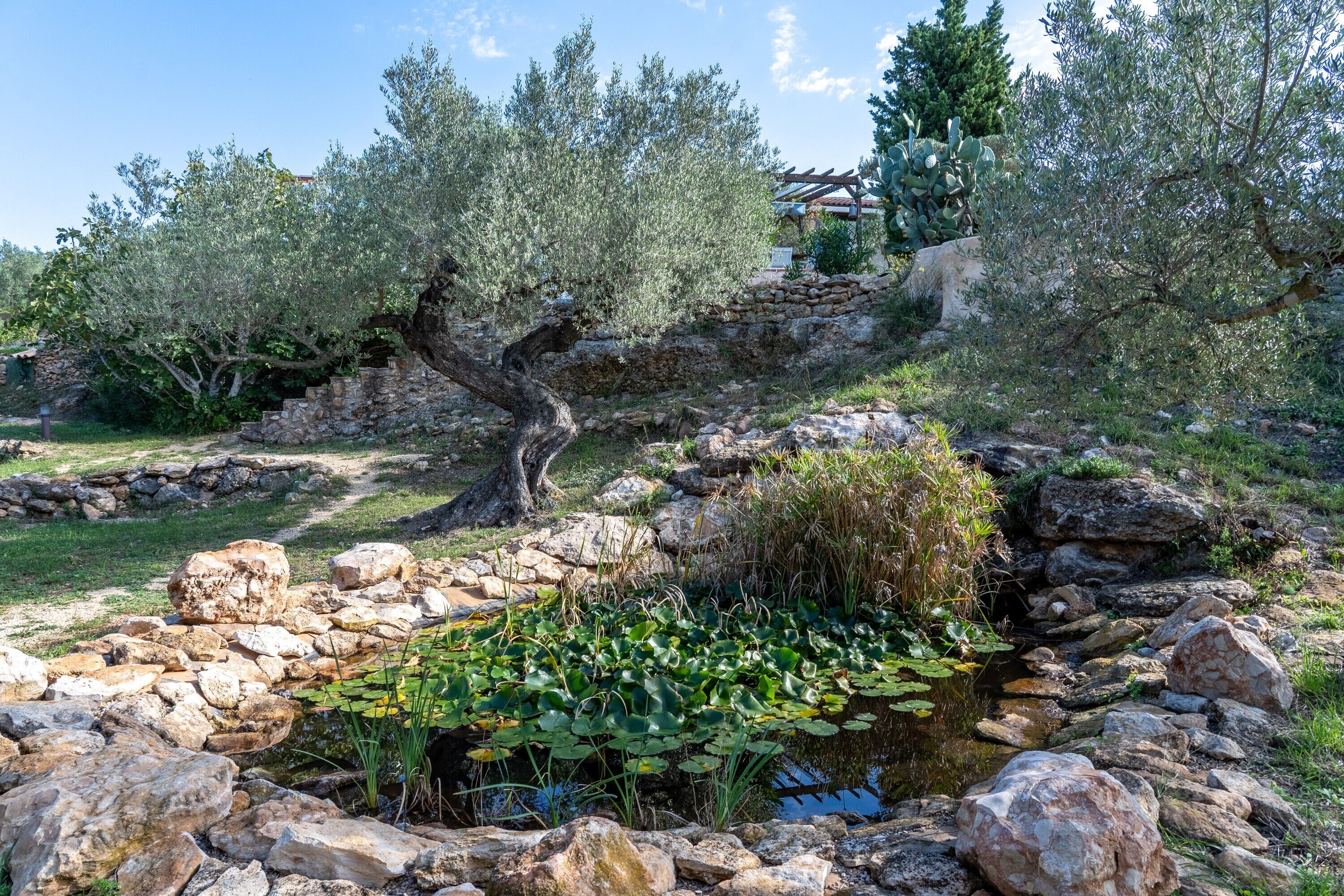 Área da propriedade