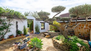 A courtyard with stone walls, potted plants, and a tree.