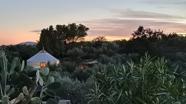 A desert landscape with a white dome-shaped structure, possibly a yurt, surrounded by cacti and shrubs.
