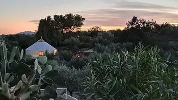 Área da propriedade